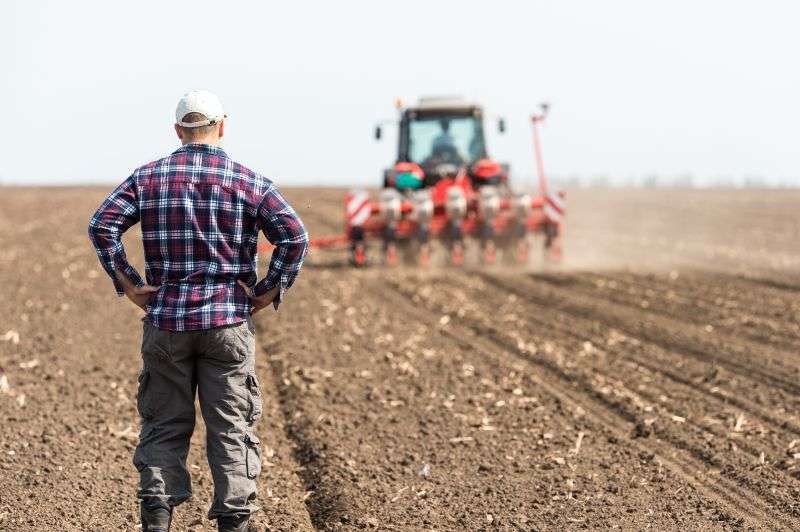 Young farmer on farmland