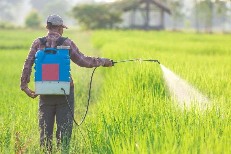 Man spraying pesticide in field